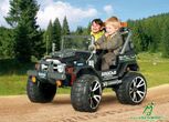 Peg-Perego