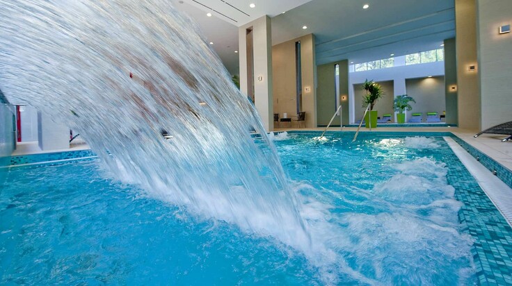 Wellness