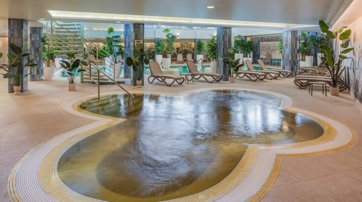 Wellness