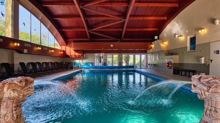Wellness